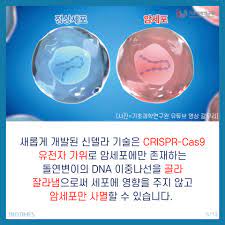 Read more about the article 암세포만 자르는 유전자 가위 기술(CRISPR-CAS9)은 항암치료와 방사선 치료 불필요